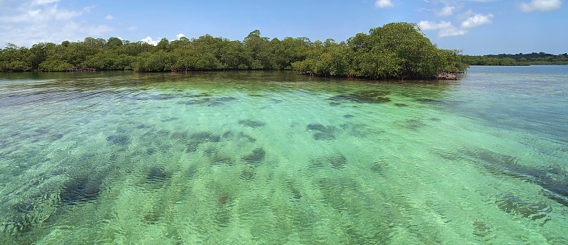 浅水全景