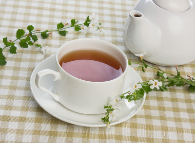 早茶