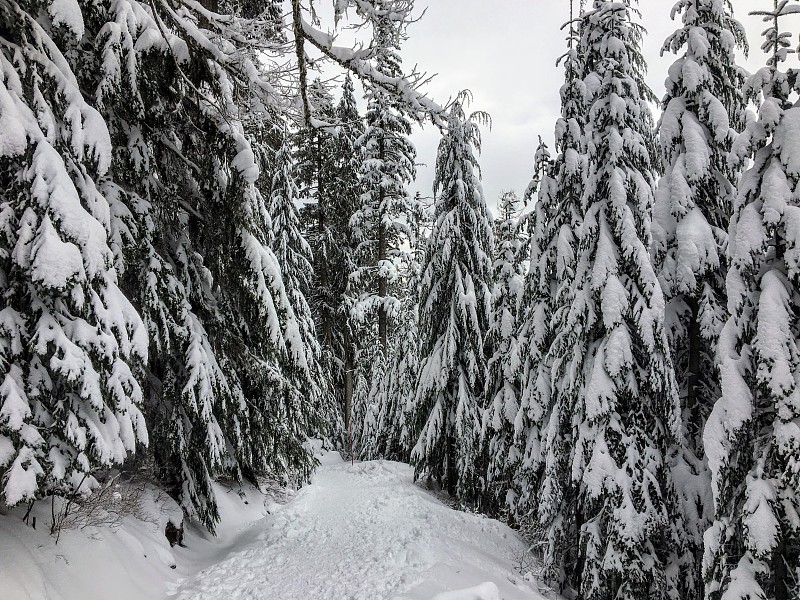 博文岛瞭望台步道上的空旷雪道