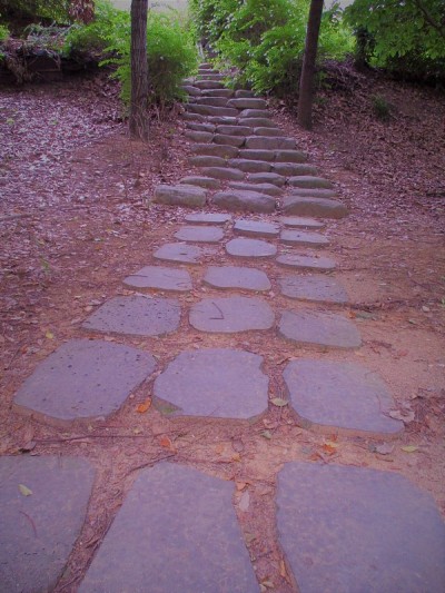 这条路