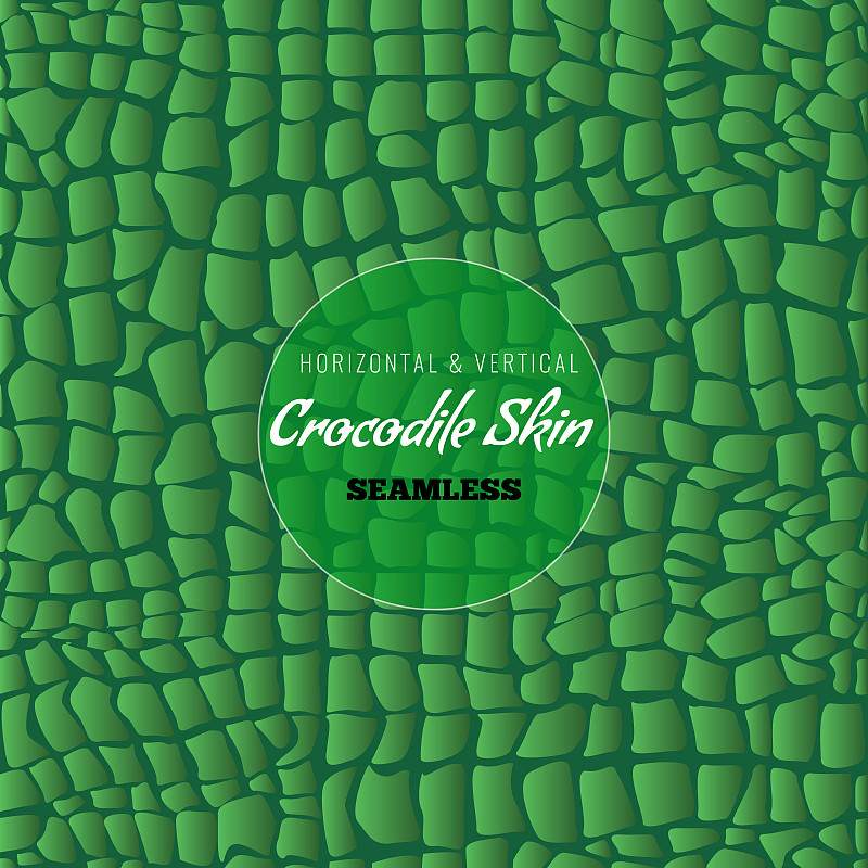 Reptile Alligator skin seamless pattern. Crocodile