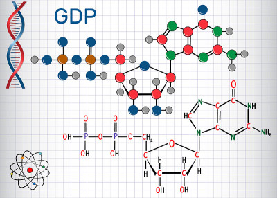 鸟苷二磷酸(GDP)分子。结构化学式和分子模型。笼子里的一张纸