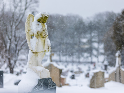 大雪覆盖了美国新英格兰