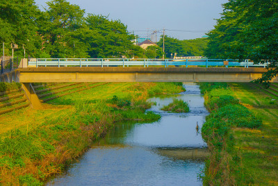 鲜绿裹野川(调布)