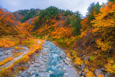 秋谷的风景