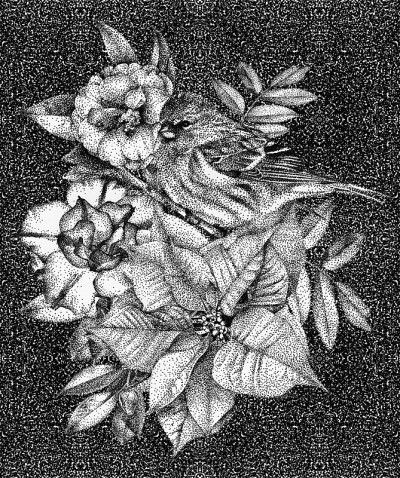 用手画出不同的花鸟和植物