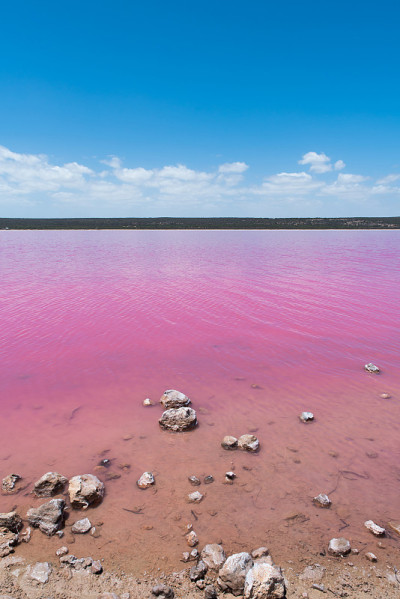 西澳大利亚州格里高利港的Pink Lake Hutt Lagoon风景优美的自然景观