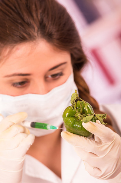 年轻美丽的生物学家用青椒做实验