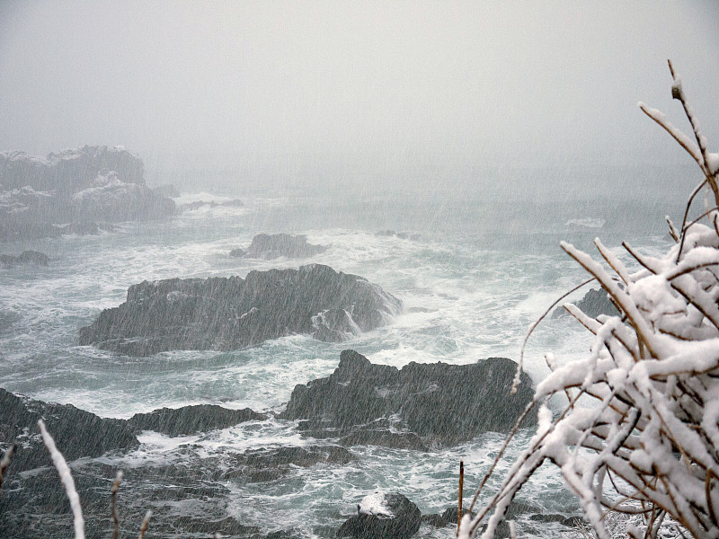 岩石海岸在恶劣的天气，暴风雪在冬天与强风，大雪和大海浪