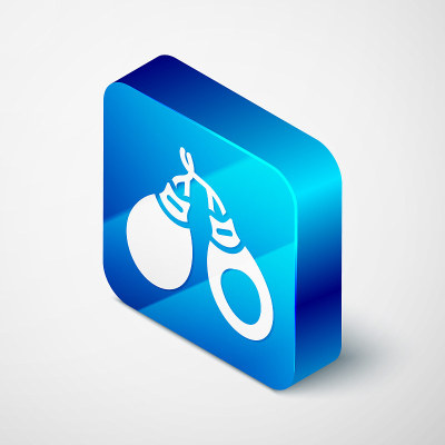 Isometric Musical instrument castanets icon isolat