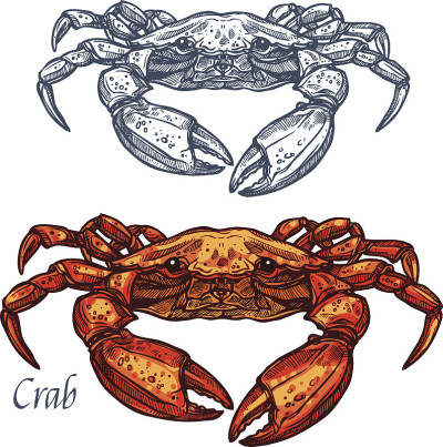 蟹海鲜矢量孤立素描图标