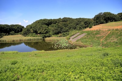 湖