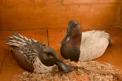 诱饵(Canvasback & Shoveler Drakes)