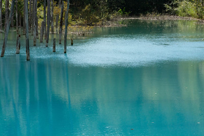 夏天碧波荡漾的池塘水面
