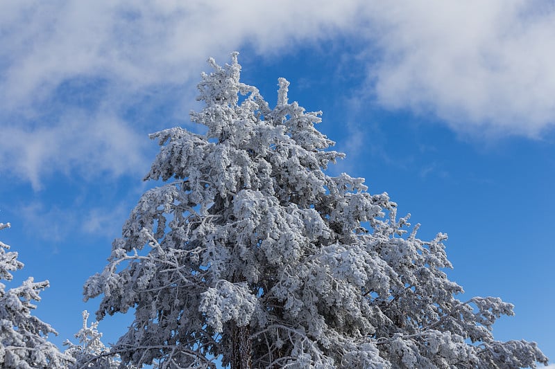 雪山景观马德里