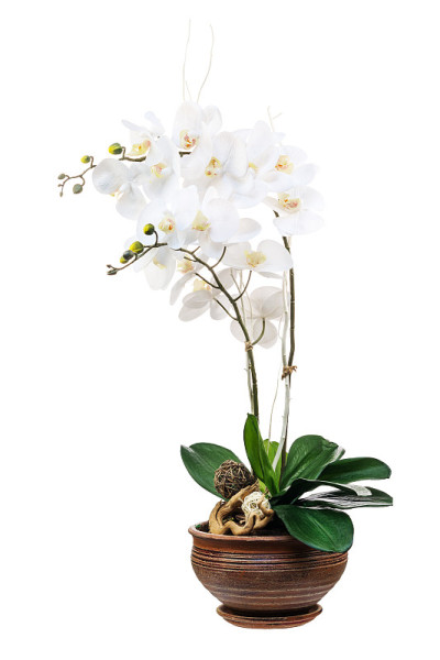 人造兰花插花。