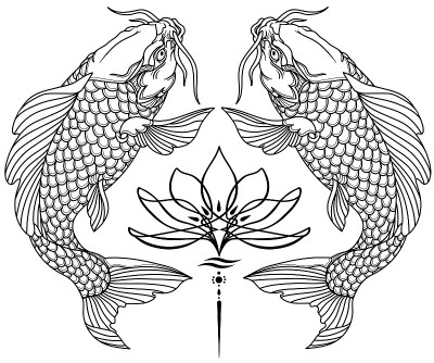 两条锦鲤和睡莲。纹身