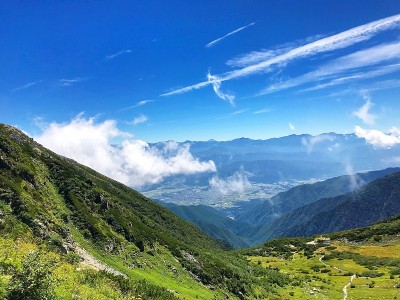 千叠敷卷曲