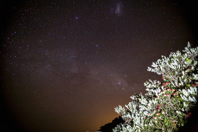 美丽的星迹照亮了新西兰旺格马塔的夜空