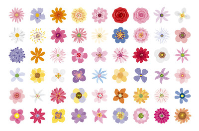 花在白色背景向量插图