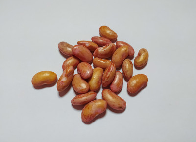 白底红豆