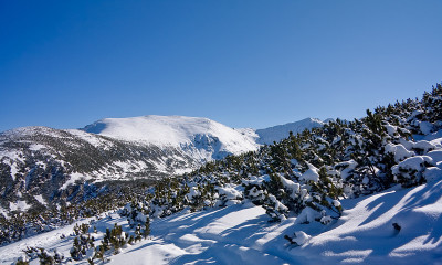 冬天的山景观。保加利亚,Borovets