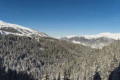 全景下的雪覆盖山谷在高山山脉与针叶松树