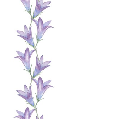 无缝花边花钟2。