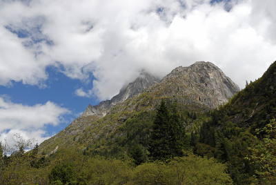 山
