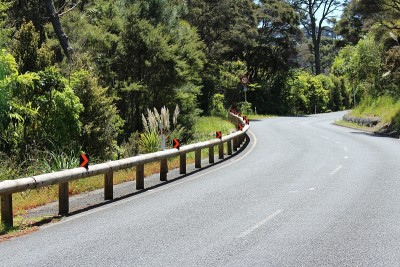新西兰有风的乡村道路上有路标