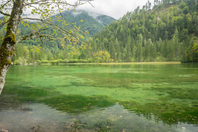 Schiederweiher，美丽的奥地利湖，靠近Hinterstoder