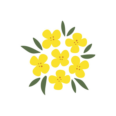 手绘黄色油菜花。