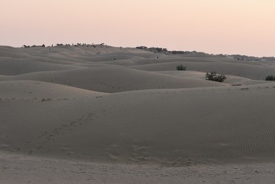 沙漠