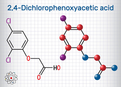 2,4-Dichlorophenoxyacetic acid (2,4-D) molecule. S