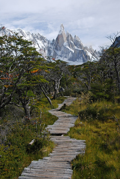 巴塔哥尼亚的 Cerro Torre Trail