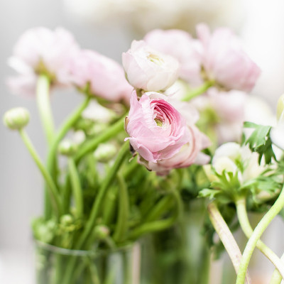 Eustoma鲜花花束
