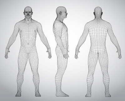 3D wire frame human body Polygonal Low Poly