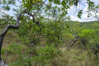 Veadeiros的Chapada dos Veadeiros