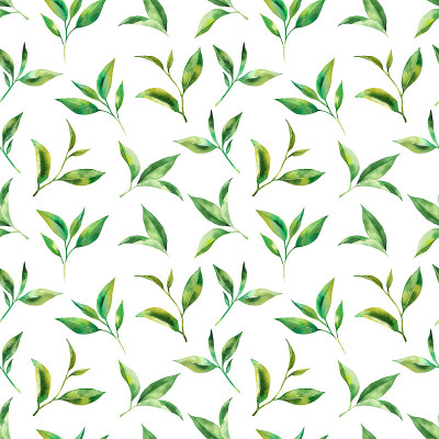 茶叶无缝花纹