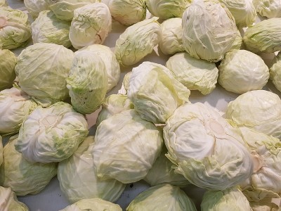 卷心菜含有一种叫甲状腺肿大的毒素。