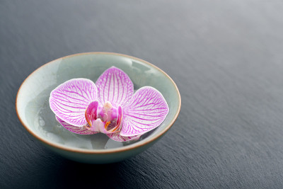 碗兰粉