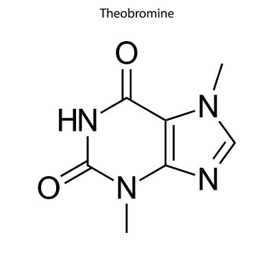 化学分子的骨架式。