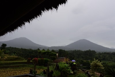 印度尼西亚巴厘岛的Jatiluwih Rice Terrace。巴厘岛塔巴南的自然风光。前景是群山和