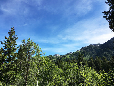 犹他山脉的夏天