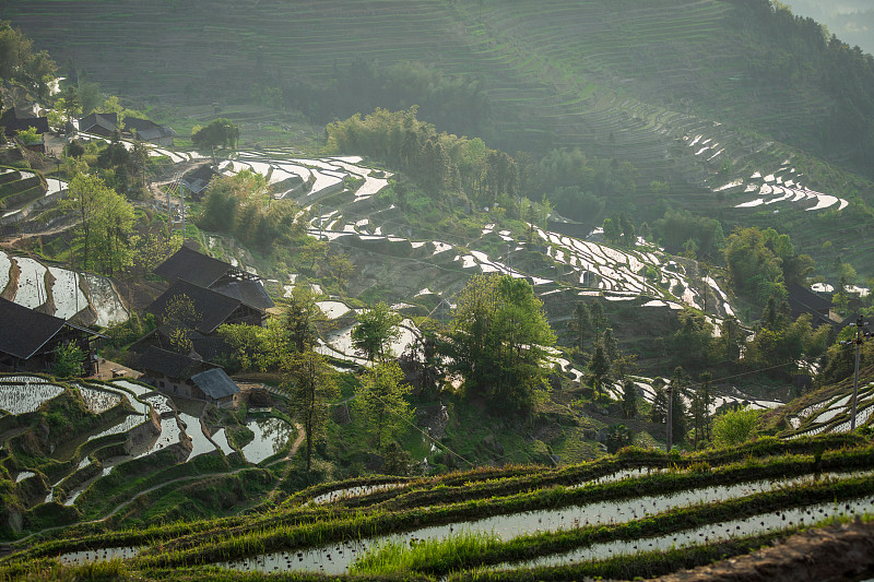 紫喜鹊梯田是中国风景区、自然文化遗产、水利风景区。预览效果