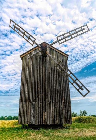 废弃的老木磨和夏季麦田