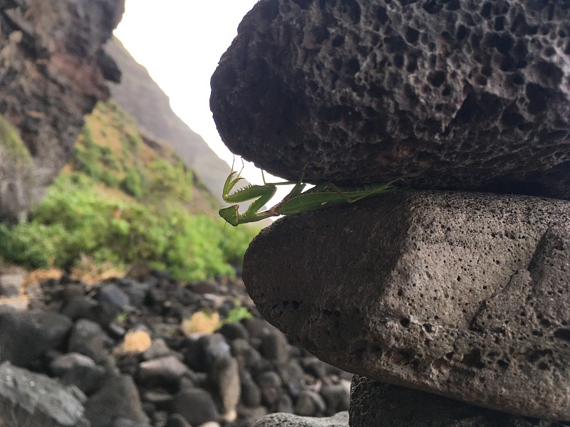 冬季，夏威夷考艾岛波利黑尔附近的纳帕利海岸的悬崖。