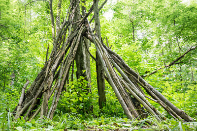 森林中用树枝搭成的小屋(下图)