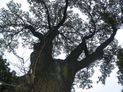 皮尼贝格休闲区2002年10月