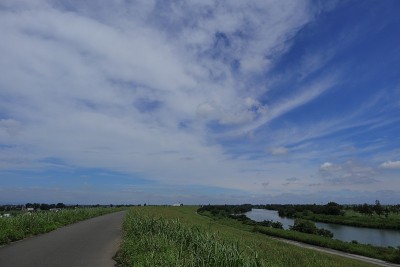 日本埼玉的风景